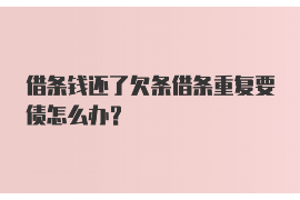 怎么对付银行催收员？有效应对策略解析